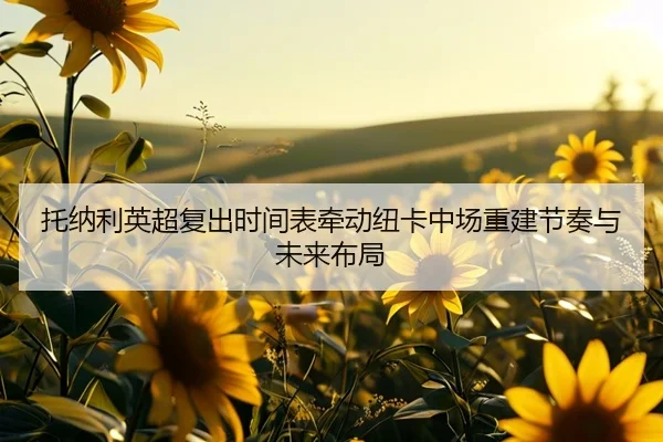 托纳利英超复出时间表牵动纽卡中场重建节奏与未来布局